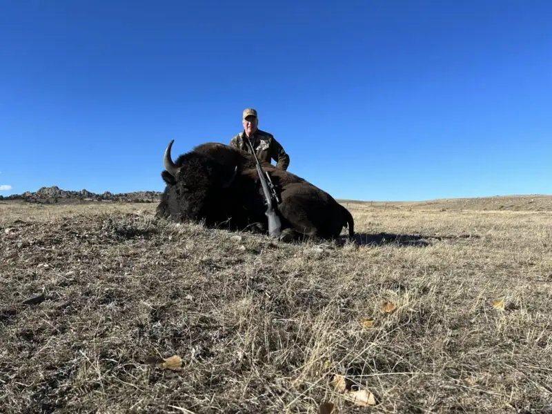 Hunter in camouflage kneeling with his rifle behind a harvested bison bull on open prairie under a clear blue sky.