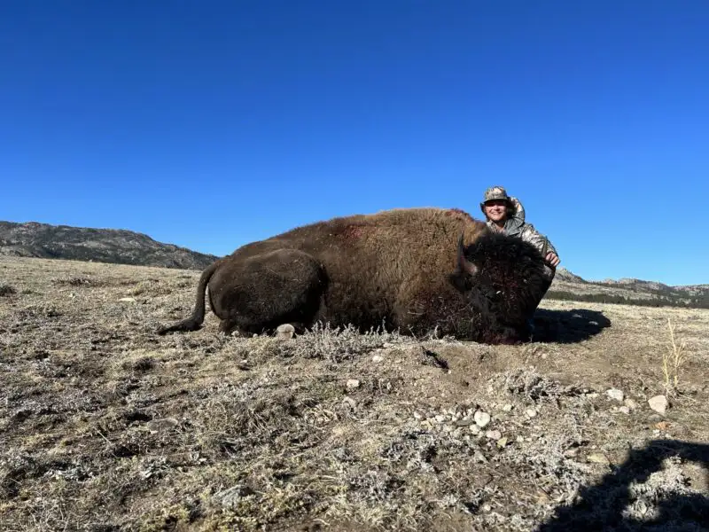 Hunter kneeling behind a harvested bison bull lying on dry, rocky ground with rolling hills in the distance.