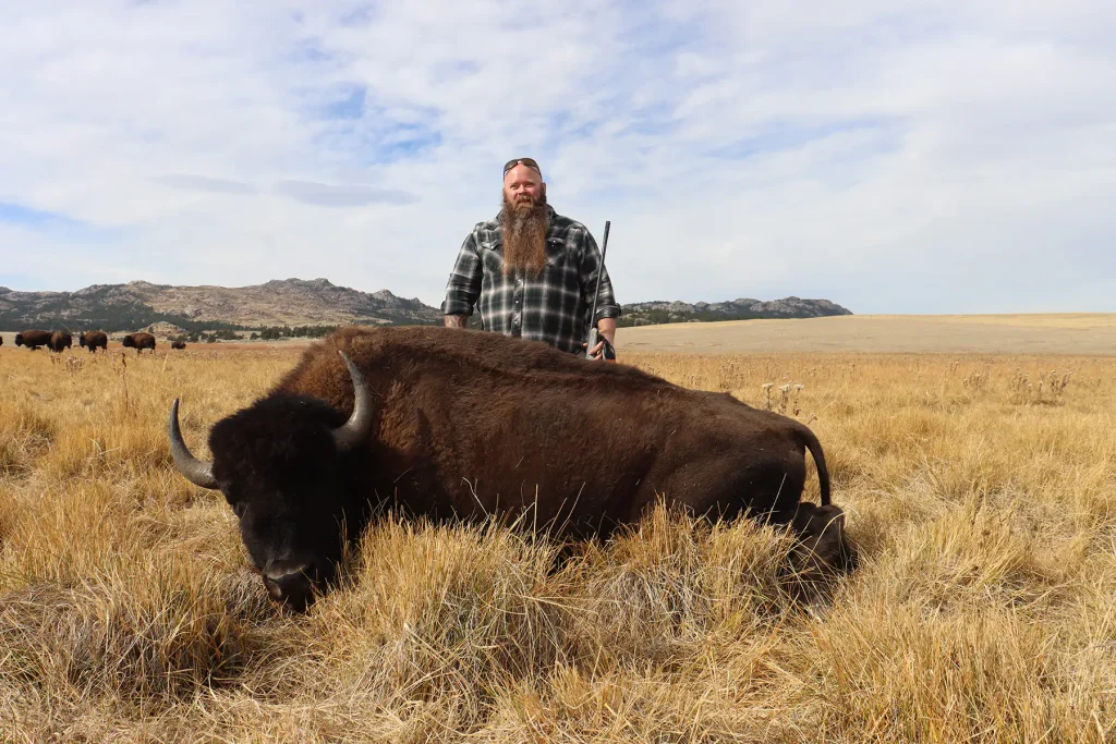 Bearded hunter in a plaid flannel shirt standing behind his harvested bison bull in tall golden grass.