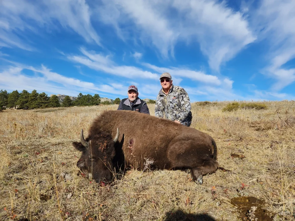 Two hunters standing behind a harvested bison heifer in dry grass, with wispy clouds and a tree line in the distance.